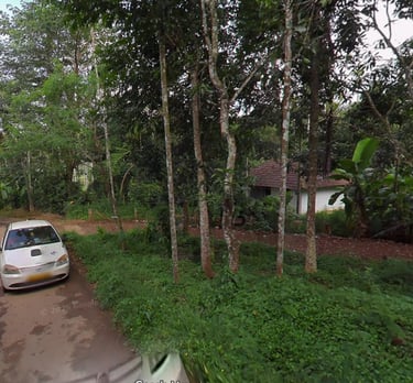 lands for sale in wayanad Dwaraka
