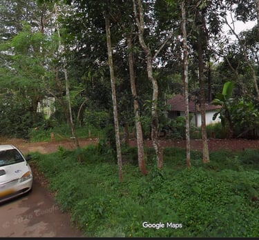 house for sale in wayanad