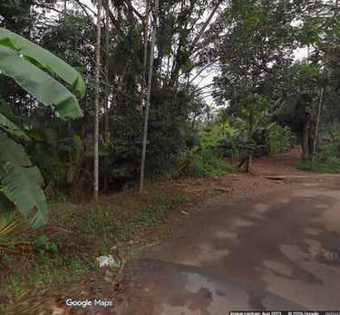 plot for sale in dwaraka wayanad