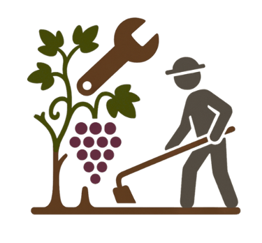 Manteniment ecològic i professional de vinyes a Mallorca | ViñArts Mallorca