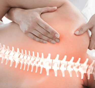 Curso de Formação Completa em Quiropraxia da Solução de Impacto, com ajuste manual na coluna.