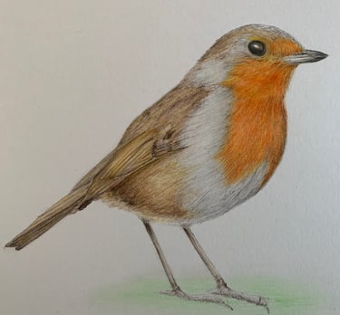Robin