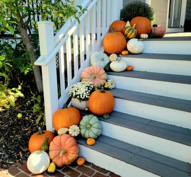 a bunch of pumpkins and gourds on a porch