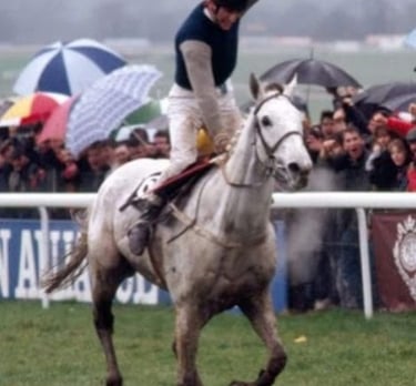 Desert Orchid WINS 1989 Cheltenham Gold Cup and I WAS THERE THAT DAY!