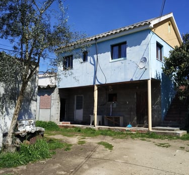a house with a blue sky and a tree in the background