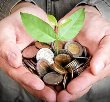 imagem de uma mão fechada segurando umas moedas com uma muda de planta plantada no meio dela.