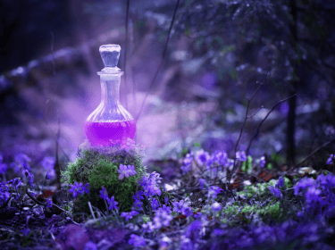Formule Alchimie littéraire - Elisa Avrain, coach littéraire.