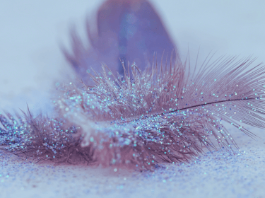 Formule Plume de Phénix - Elisa Avrain, coach littéraire.