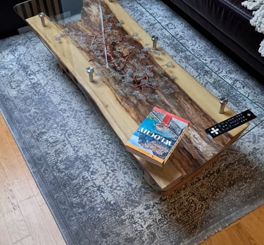 Ława stworzona z pustego pnia drzewa akacjowego! Jej wnętrze wypełnia wyjątkowa dekoracja