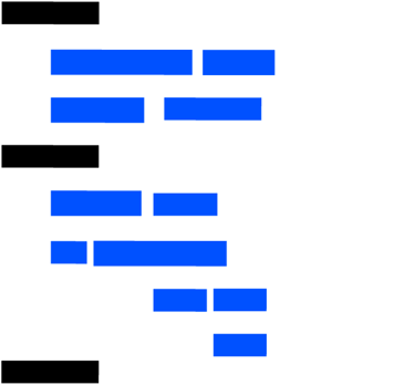 Custom Development