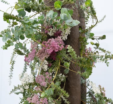 RHS Chelsea Flower Shower - Hedy Leung