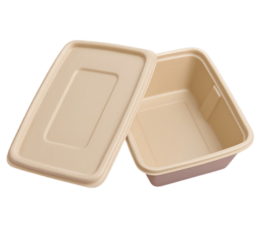 Biodegradable 500ml takeaway bagasse container with secure lid.