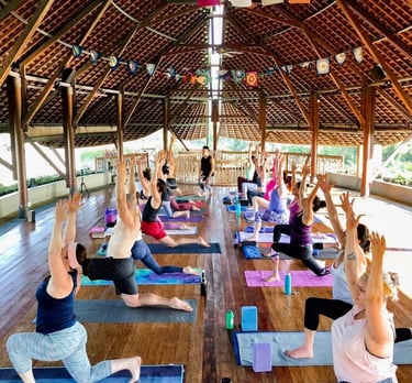 a group of people doing yoga poses