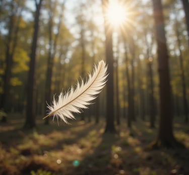 Feder im ruhigen Wald mit warmem Licht