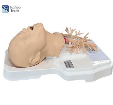 Suzhou Frank Endoscopy Simulator