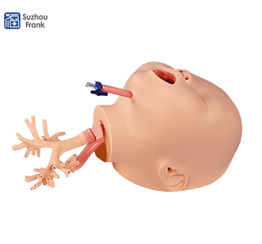 Suzhou Frank Pediatric Bronchoscopy Simulator