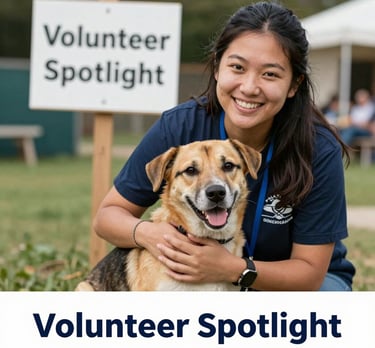 blue and white striped round textile