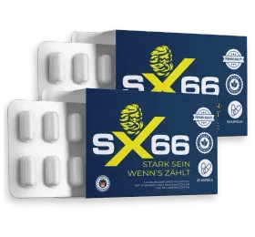 sx66