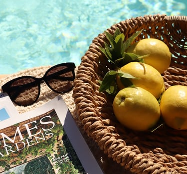 Piscine et détente