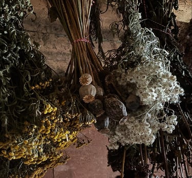 Žali akcentai - džiovintų augalų dekoracijos namams