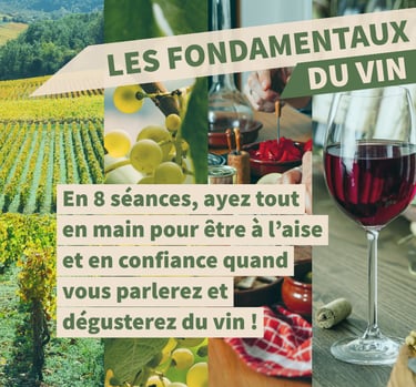 fondamentaux vins cours oenologie
