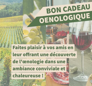bon cadeau oenologie lyon