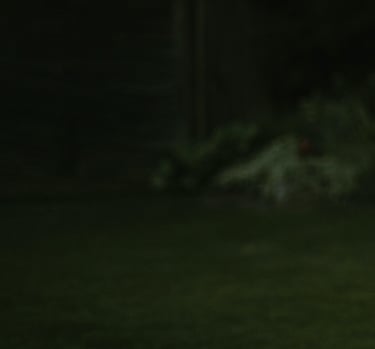 tamsiai žalios spalvos fonas