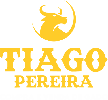 Thiago Pereira - Compra e Venda de Gado