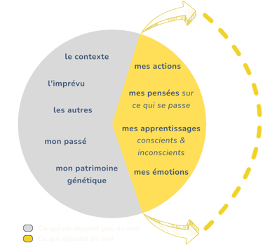 graphique divisant la responsabilité