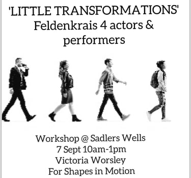 a poster for a feldnekrais workshop for actors
