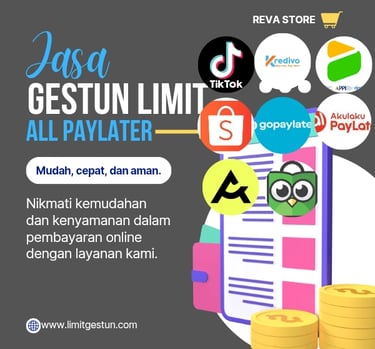 gestun paylater