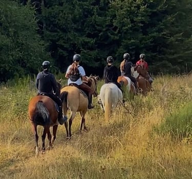 Balade à cheval dans la montagne ardéchoise