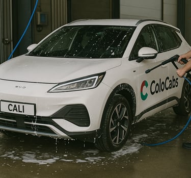 Sanificazione e lavaggio programmato 