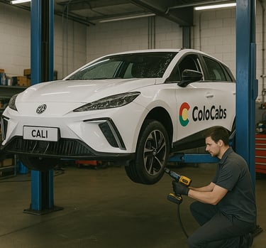 Revisione giornaliera presso la nostra officina 