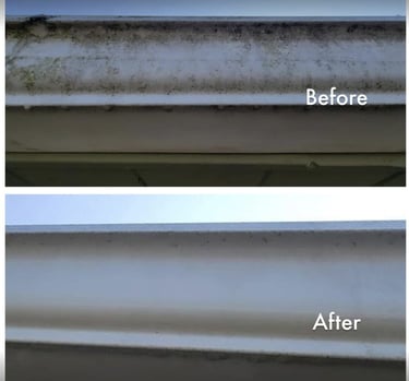 Before and after professional gutter cleaning completed on a home in Land O' Lakes, FL