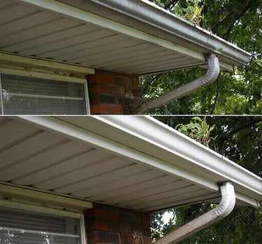 professional gutter cleaning trinity fl