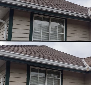 Gutter Cleaning service completed on a home in Trinity FL