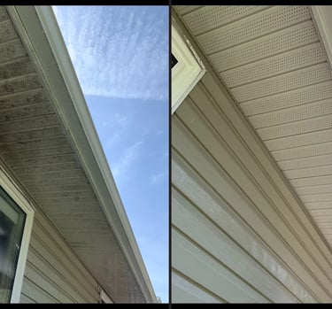 Gutter soft wash cleaning service for a home in Trinity FL