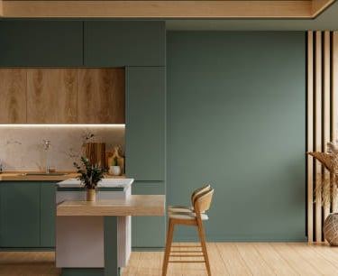 Servicio de pintura de techos con tratamiento antihumedad en Bizkaia