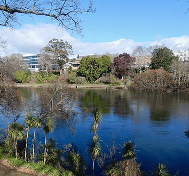 Waikato River in Hamilton Central from Parana Park