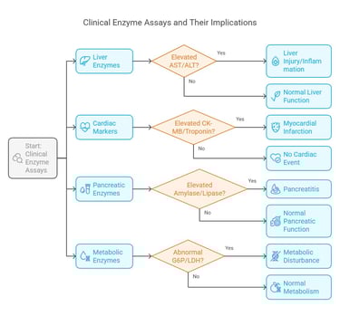 clinical enzyme assays & implication