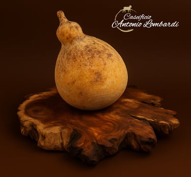 CACIOCAVALLO PODOLICO MANFREDONIA