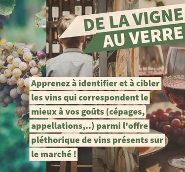 formation vin cours oenologie lyon
