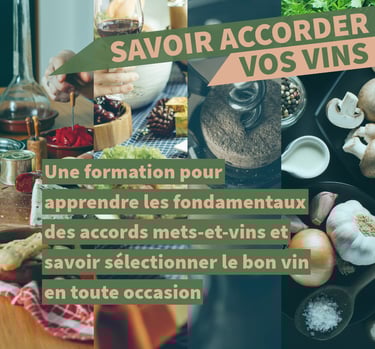 accords mets et vins cours oenologie lyon