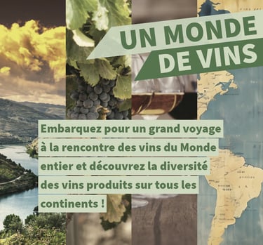 un monde de vins cours oenologie lyon on veille au grain