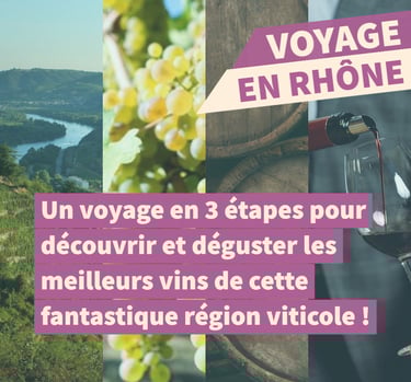 voyage rhone cours oenologie dégustation lyon on veille au grain