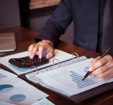 Tax Advisor in the preparation and financial planning process