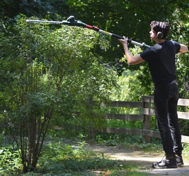 Taille de haies et d'arbustes à Soisy-sur-Seine et aux alentours.