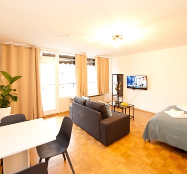 germütlicher Wohn- und Schlafbereich in der Studio Wohnung im Zentrum Bayreuth nahe Oper