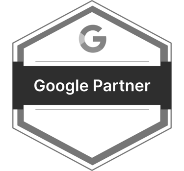 Google Partner Badge for Railey Consulting